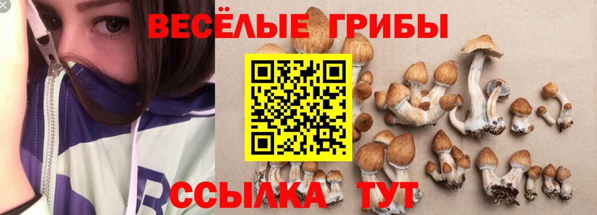 Псилоцибиновые грибы ЛСД Обь